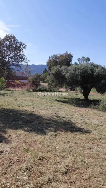 Οικιστικό 613τ.μ. προς πώληση φωτογραφία 7