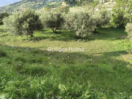 Residential 1841m<sup>2</sup> for sale photo 5410200