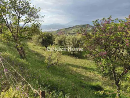 Residential 1841m<sup>2</sup> for sale photo 5410201