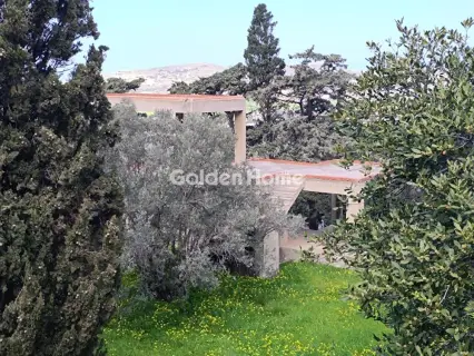 Κτίριο 227τ.μ. προς πώληση φωτογραφία 5410752