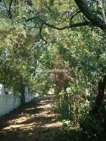 Residential 4000m<sup>2</sup> for sale photo 5417322