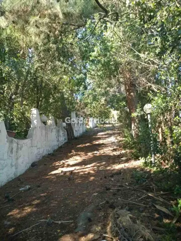 Residential 4000m<sup>2</sup> for sale photo 5417322