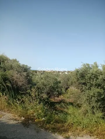 Residential 1280m<sup>2</sup> for sale photo 1