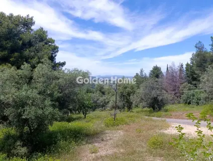 House 83m<sup>2</sup> for sale photo 13