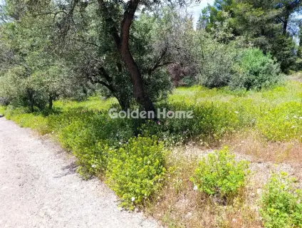 House 83m<sup>2</sup> for sale photo 35