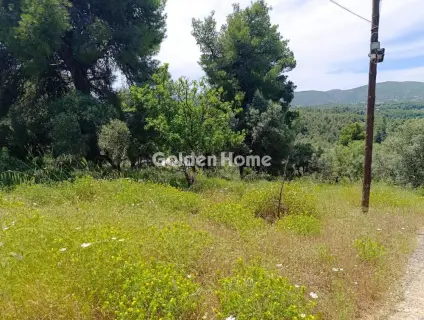 House 83m<sup>2</sup> for sale photo 34