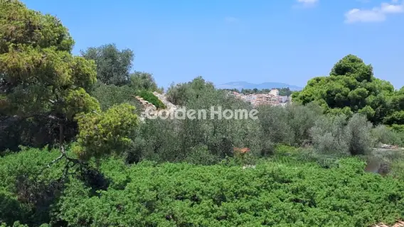 Μονοκατοικία 248τ.μ. προς πώληση φωτογραφία 5416270