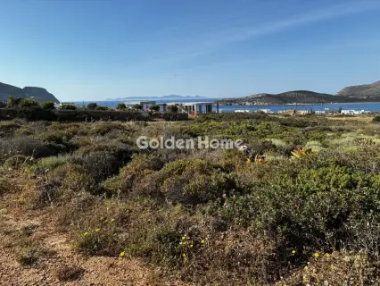 Οικιστικό 1000τ.μ. προς πώληση φωτογραφία 5419448