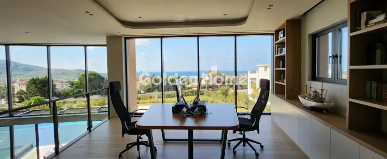 Μονοκατοικία 693τ.μ. προς πώληση φωτογραφία 97