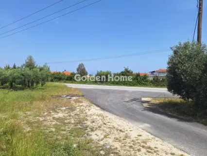 Professional Plot 11000m<sup>2</sup> for sale photo 1