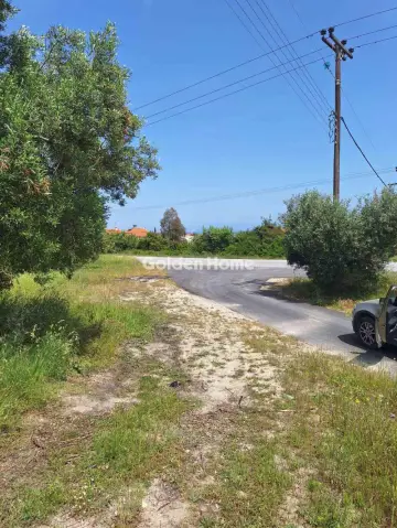 Professional Plot 11000m<sup>2</sup> for sale photo 5