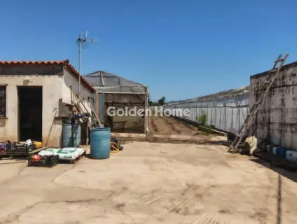Professional Plot 12000m<sup>2</sup> for sale photo 5425654
