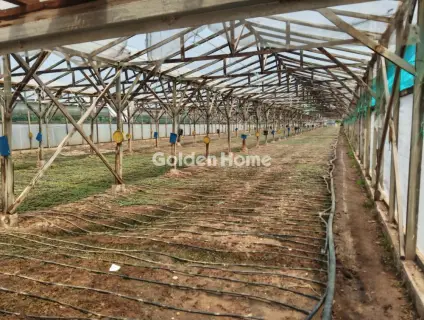 Professional Plot 12000m<sup>2</sup> for sale photo 5425651