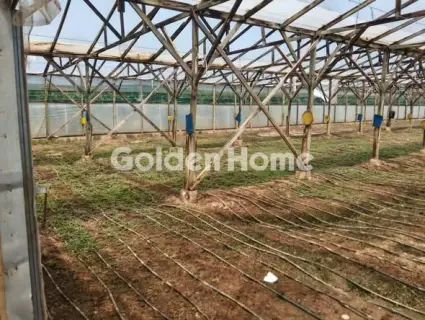Professional Plot 12000m<sup>2</sup> for sale photo 5425652