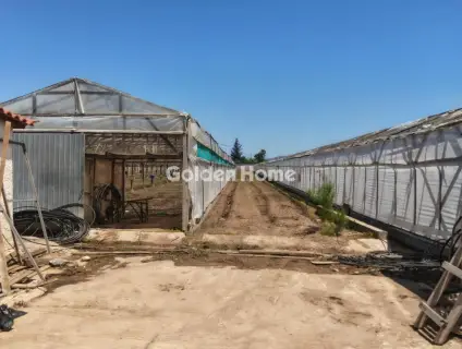 Professional Plot 12000m<sup>2</sup> for sale photo 5425648