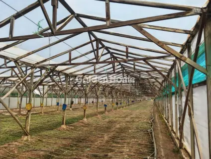 Professional Plot 12000m<sup>2</sup> for sale photo 5425650