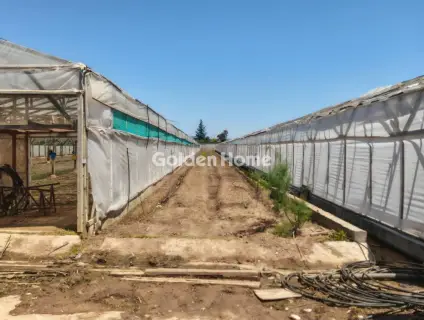 Professional Plot 12000m<sup>2</sup> for sale photo 5425649