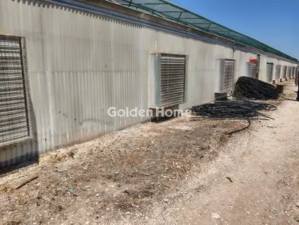 Professional Plot 11500m<sup>2</sup> for sale photo 2
