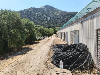 Professional Plot 11500m<sup>2</sup> for sale photo 19