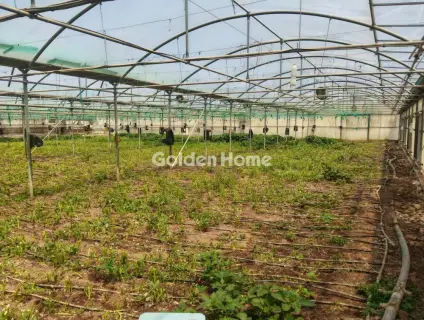 Professional Plot 11500m<sup>2</sup> for sale photo 3