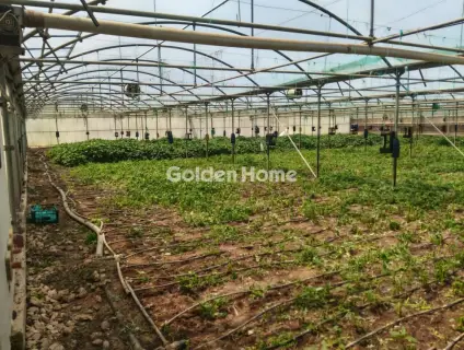 Professional Plot 11500m<sup>2</sup> for sale photo 6