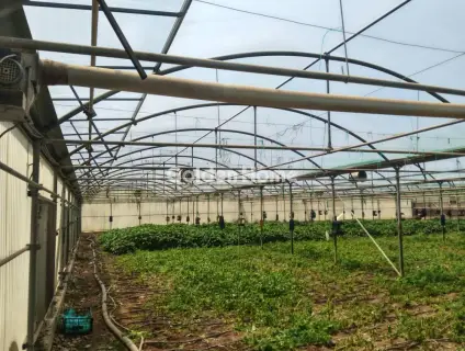 Professional Plot 11500m<sup>2</sup> for sale photo 5