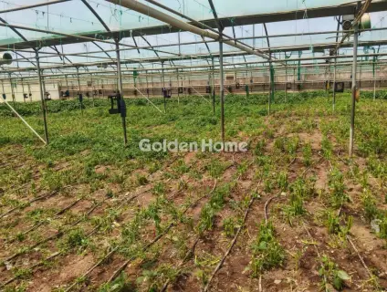 Professional Plot 11500m<sup>2</sup> for sale photo 7