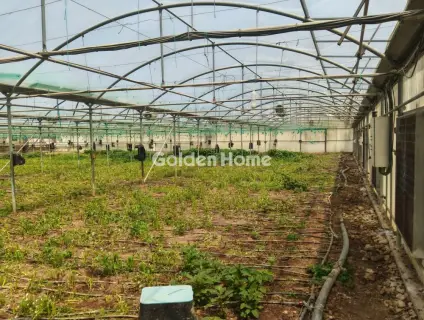 Professional Plot 11500m<sup>2</sup> for sale photo 4