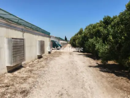 Professional Plot 11500m<sup>2</sup> for sale photo 18