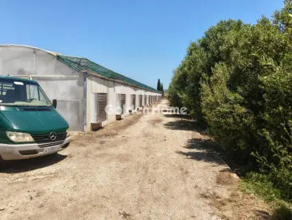 Professional Plot 11500m<sup>2</sup> for sale photo 21