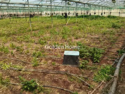 Professional Plot 11500m<sup>2</sup> for sale photo 8
