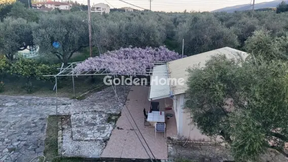 Μονοκατοικία 121τ.μ. προς πώληση φωτογραφία 16