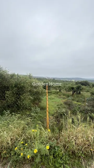 Professional Plot 1059m<sup>2</sup> for rent photo 1