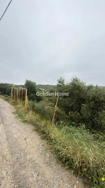 Professional Plot 1059m<sup>2</sup> for rent photo 6