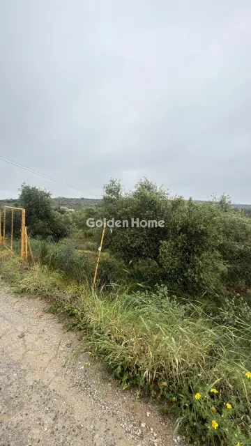 Professional Plot 1059m<sup>2</sup> for rent photo 5