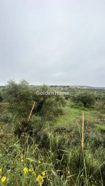 Professional Plot 1059m<sup>2</sup> for rent photo 3