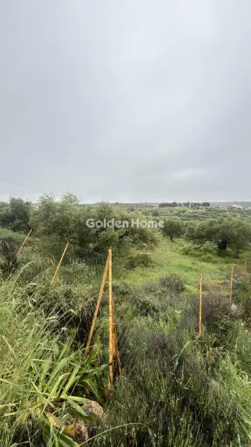 Professional Plot 1059m<sup>2</sup> for rent photo 7