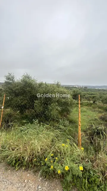 Professional Plot 1059m<sup>2</sup> for rent photo 2