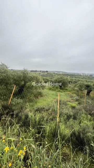 Professional Plot 1059m<sup>2</sup> for rent photo 4