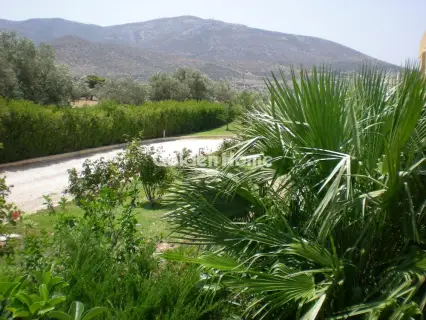 Home 950m<sup>2</sup> for sale photo 5423791