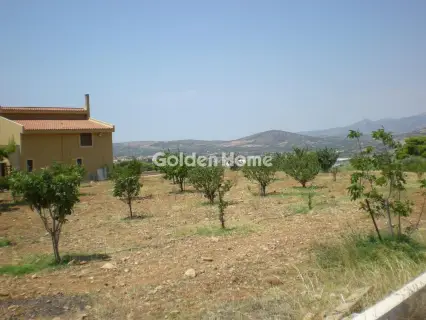 Home 950m<sup>2</sup> for sale photo 5423795