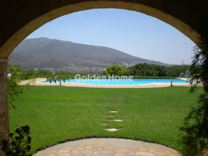 Home 950m<sup>2</sup> for sale photo 5423808