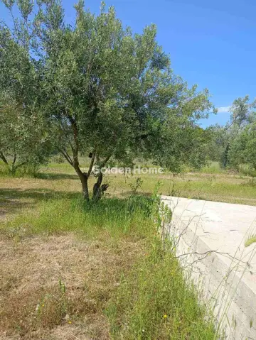 Parcel 2259m<sup>2</sup> for sale photo 3