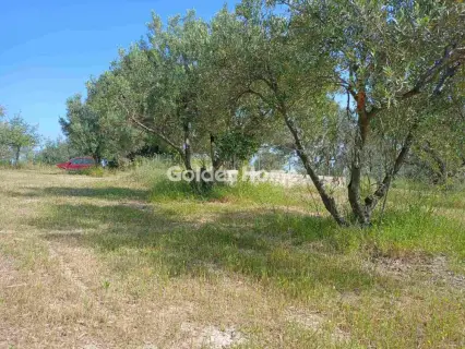 Parcel 2259m<sup>2</sup> for sale photo 16