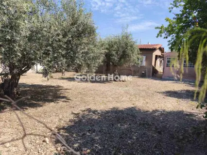 Residential 303m<sup>2</sup> for sale photo 5424940