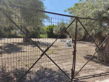 Residential 303m<sup>2</sup> for sale photo 5424941