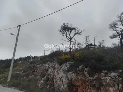 Residential 2190m<sup>2</sup> for sale photo 5426623