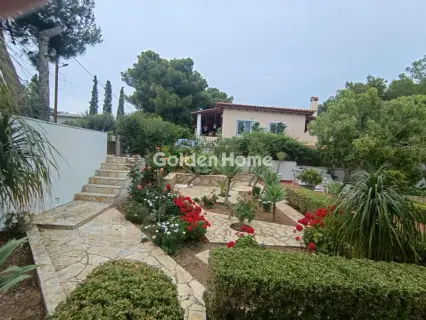 Μονοκατοικία 248τ.μ. προς πώληση φωτογραφία 4