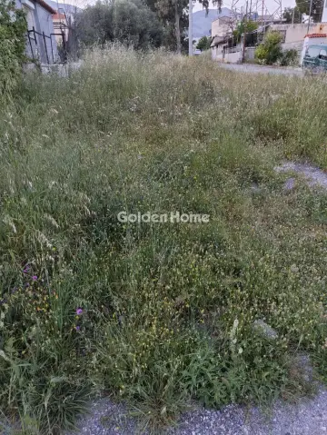 Οικιστικό 258τ.μ. προς πώληση φωτογραφία 5428279