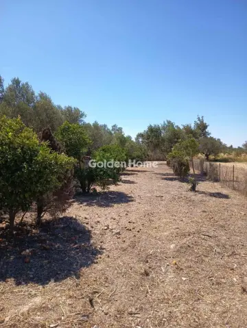 Μονοκατοικία 260τ.μ. προς πώληση φωτογραφία 5643471